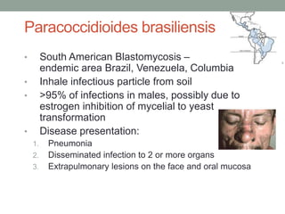 Paracoccidioides brasiliensis
• South American Blastomycosis –
endemic area Brazil, Venezuela, Columbia
• Inhale infectiou...