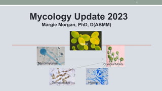 Mycology Update 2023
Margie Morgan, PhD, D(ABMM)
Mycormycetes Conidial Molds
Dematiacious Hyaline
Yeast
1
 