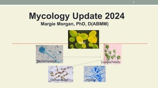 Mycology Update 2024
Margie Morgan, PhD, D(ABMM)
Mucormycetes Conidial Molds
Dematiacious Hyaline
Yeast
1
 