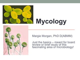 MYCOLOGY
Margie Morgan, PhD D(ABMM)
Just the basics – meant for board
review or brief study of this
fascinating area of microbiology!
Mycology
 