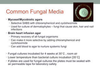 Common Fungal Media
• Mycosel/Mycobiotic agars
• Selective SABS with chloramphenicol and cycloheximide
• Used for culture ...