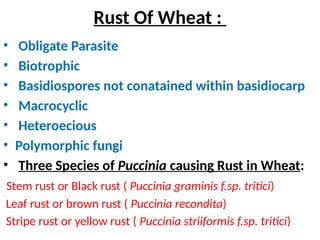 Rust Parasites Mycoloy rust & smut etiology and its management | PPTX