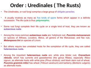 Rust Parasites Mycoloy rust & smut etiology and its management | PPTX