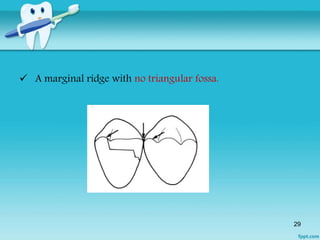 Contacts and Contours By Dr.Ruchir Kapur | PPTX