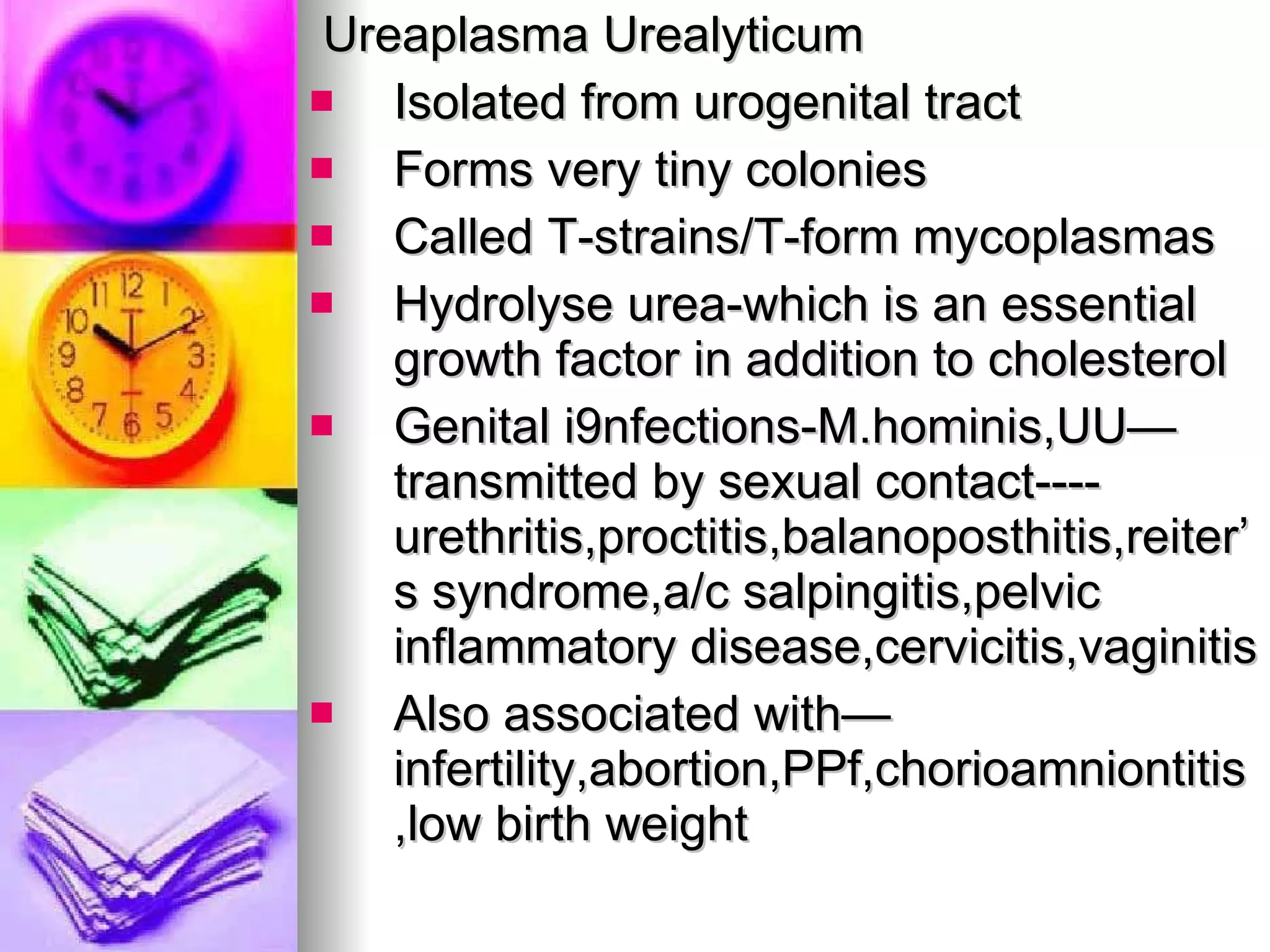 Ureaplasma Urealyticum Isolated from urogenital tract  Forms very tiny colonies Called T-strains/T-form mycoplasmas Hydrolyse urea-which is an essential growth factor in addition to cholesterol Genital i9nfections-M.hominis,UU—transmitted by sexual contact----urethritis,proctitis,balanoposthitis,reiter’s syndrome,a/c salpingitis,pelvic inflammatory disease,cervicitis,vaginitis Also associated with—infertility,abortion,PPf,chorioamniontitis,low birth weight 