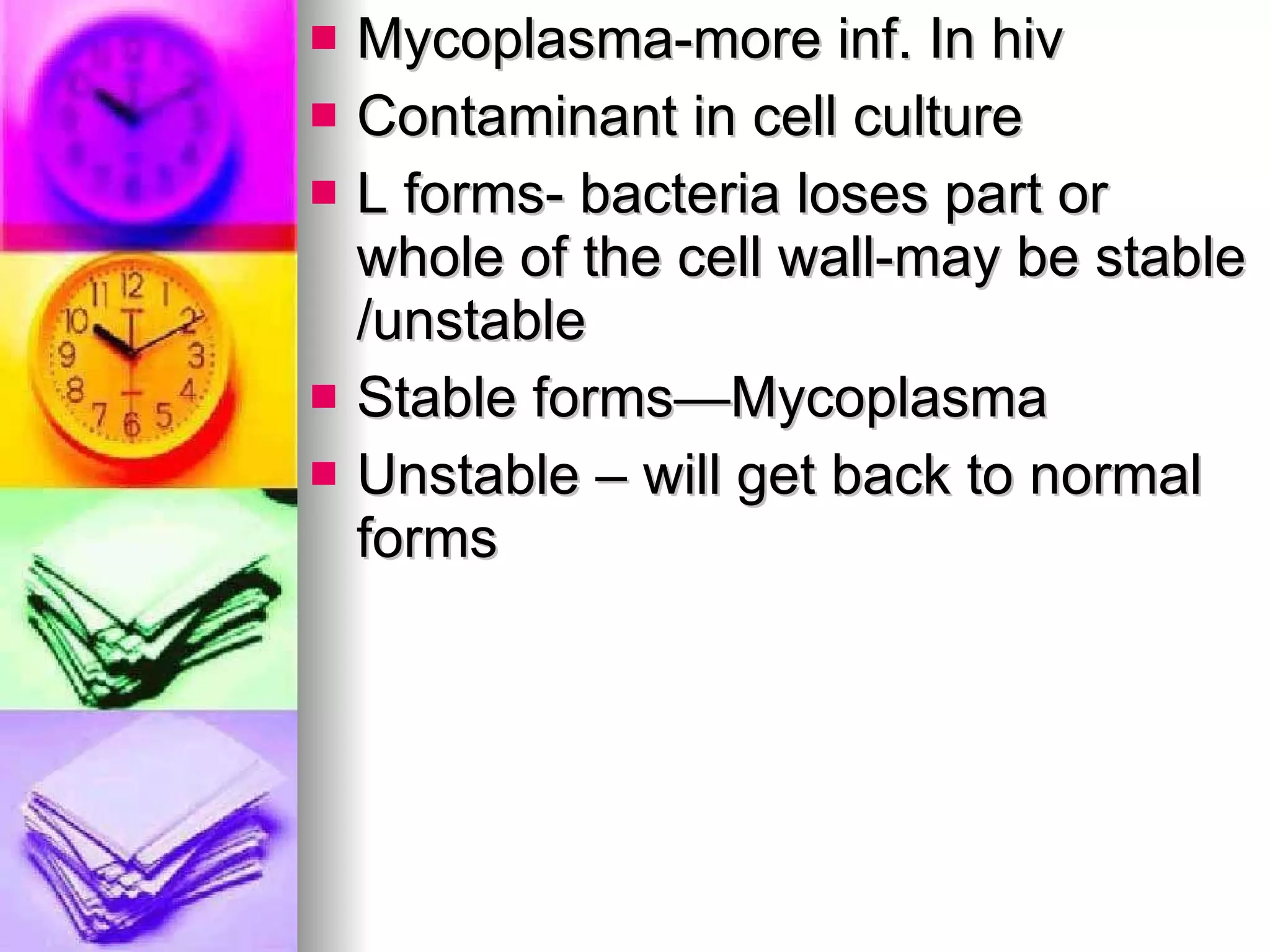 Mycoplasma-more inf. In hiv Contaminant in cell culture L forms- bacteria loses part or whole of the cell wall-may be stable /unstable Stable forms—Mycoplasma Unstable – will get back to normal forms 