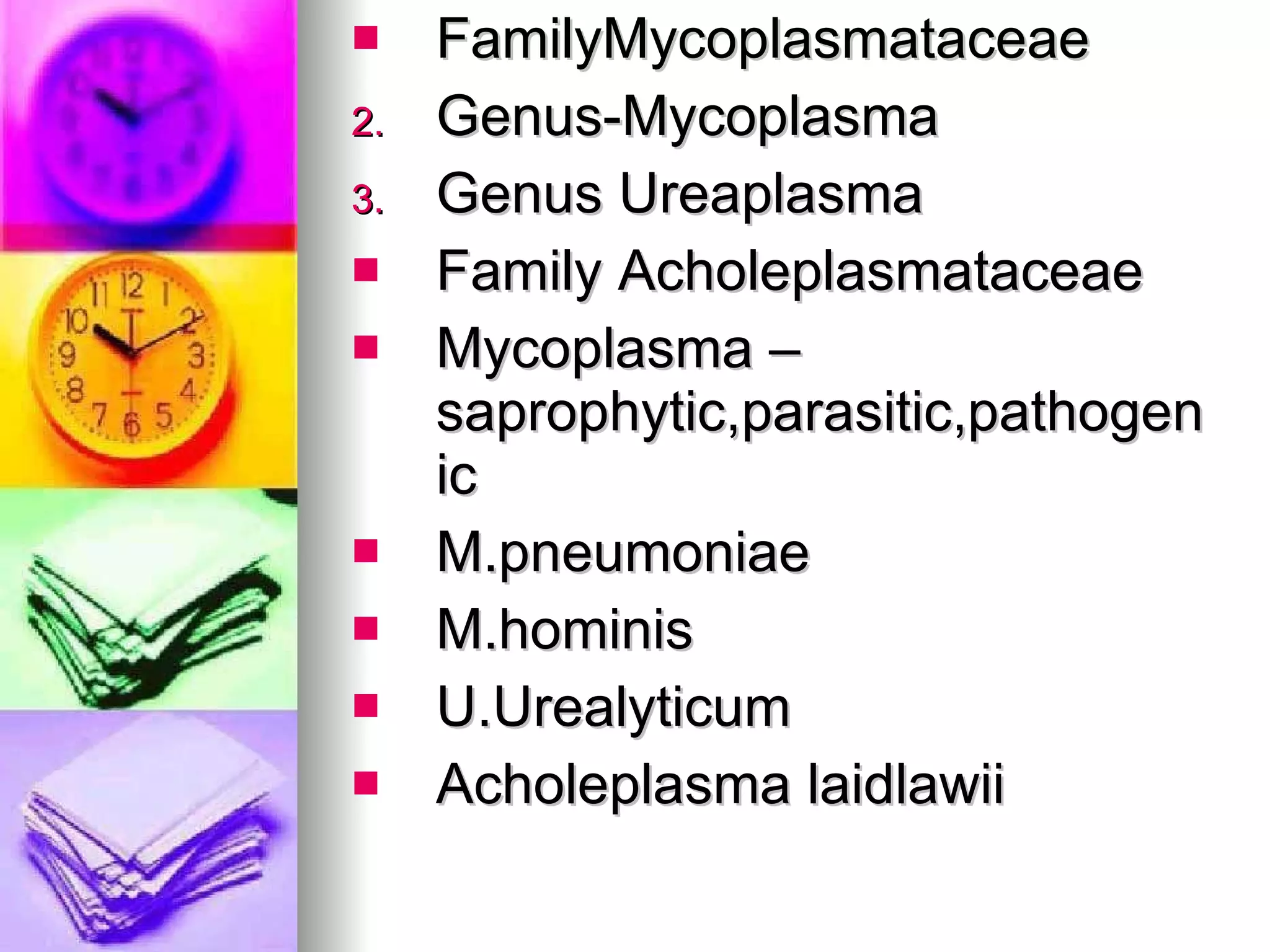 FamilyMycoplasmataceae Genus-Mycoplasma Genus Ureaplasma Family Acholeplasmataceae Mycoplasma –saprophytic,parasitic,pathogenic M.pneumoniae M.hominis U.Urealyticum Acholeplasma laidlawii 