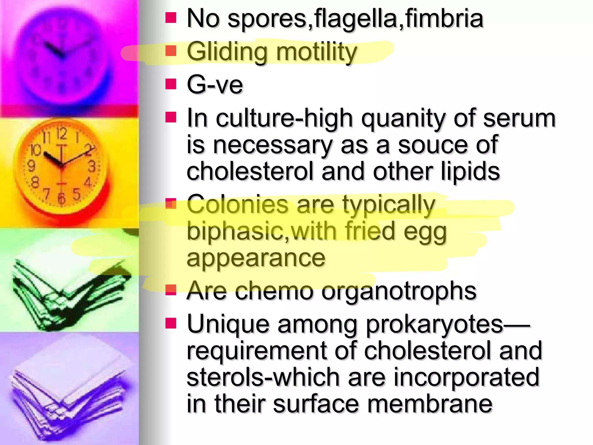 No spores,flagella,fimbria Gliding motility G-ve In culture-high quanity of serum is necessary as a souce of cholesterol and other lipids Colonies are typically biphasic,with fried egg appearance Are chemo organotrophs Unique among prokaryotes—requirement of cholesterol and sterols-which are incorporated in their surface membrane 