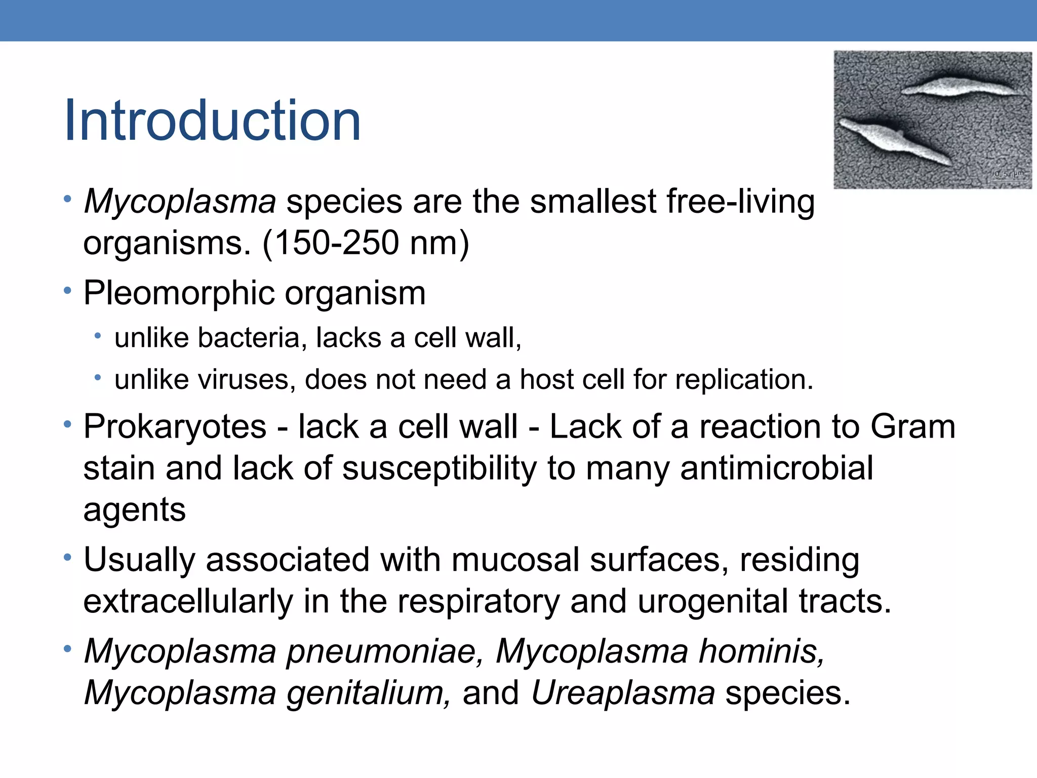 Mycoplasma Pneumonia | PPT
