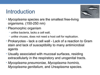 Introduction
• Mycoplasma species are the smallest free-living

organisms. (150-250 nm)
• Pleomorphic organism
• unlike bacteria, lacks a cell wall,
• unlike viruses, does not need a host cell for replication.

• Prokaryotes - lack a cell wall - Lack of a reaction to Gram

stain and lack of susceptibility to many antimicrobial
agents
• Usually associated with mucosal surfaces, residing
extracellularly in the respiratory and urogenital tracts.
• Mycoplasma pneumoniae, Mycoplasma hominis,
Mycoplasma genitalium, and Ureaplasma species.

 