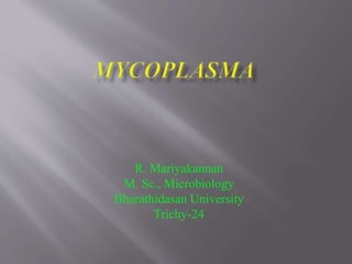 R. Mariyakannan
M. Sc., Microbiology
Bharathidasan University
Trichy-24
 