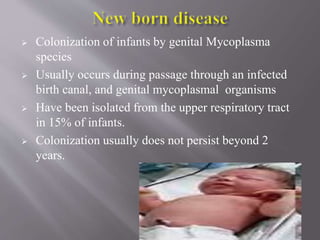  Colonization of infants by genital Mycoplasma
species
 Usually occurs during passage through an infected
birth canal, and genital mycoplasmal organisms
 Have been isolated from the upper respiratory tract
in 15% of infants.
 Colonization usually does not persist beyond 2
years.
 