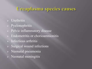  Urethritis
 Pyelonephritis
 Pelvic inflammatory disease
 Endometritis or chorioamnionitis
 Infectious arthritis
 Surgical wound infections
 Neonatal pneumonia
 Neonatal meningitis
 
