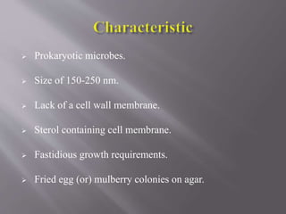  Prokaryotic microbes.
 Size of 150-250 nm.
 Lack of a cell wall membrane.
 Sterol containing cell membrane.
 Fastidious growth requirements.
 Fried egg (or) mulberry colonies on agar.
 