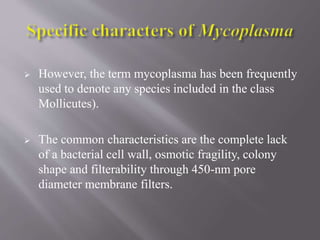  However, the term mycoplasma has been frequently
used to denote any species included in the class
Mollicutes).
 The common characteristics are the complete lack
of a bacterial cell wall, osmotic fragility, colony
shape and filterability through 450-nm pore
diameter membrane filters.
 