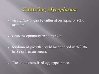  Mycoplasma can be cultured on liquid or solid
medium.
 Growths optimally at 35 to 37˚c.
 Medium of growth should be enriched with 20%
horse or human serum.
 The colonies as fried egg appearance.
 