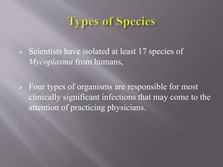  Scientists have isolated at least 17 species of
Mycoplasma from humans,
 Four types of organisms are responsible for most
clinically significant infections that may come to the
attention of practicing physicians.
 