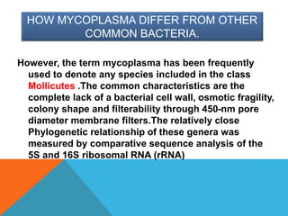HOW MYCOPLASMA DIFFER FROM OTHER
COMMON BACTERIA.
However, the term mycoplasma has been frequently
used to denote any species included in the class
Mollicutes .The common characteristics are the
complete lack of a bacterial cell wall, osmotic fragility,
colony shape and filterability through 450-nm pore
diameter membrane filters.The relatively close
Phylogenetic relationship of these genera was
measured by comparative sequence analysis of the
5S and 16S ribosomal RNA (rRNA)
 