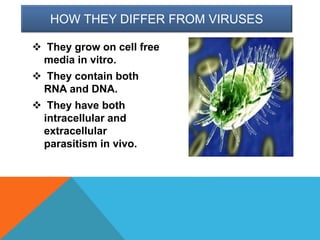 HOW THEY DIFFER FROM VIRUSES
 They grow on cell free
media in vitro.
 They contain both
RNA and DNA.
 They have both
intracellular and
extracellular
parasitism in vivo.
 