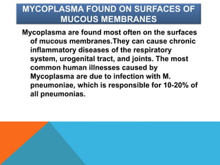 MYCOPLASMA FOUND ON SURFACES OF
MUCOUS MEMBRANES
Mycoplasma are found most often on the surfaces
of mucous membranes.They can cause chronic
inflammatory diseases of the respiratory
system, urogenital tract, and joints. The most
common human illnesses caused by
Mycoplasma are due to infection with M.
pneumoniae, which is responsible for 10-20% of
all pneumonias.
 