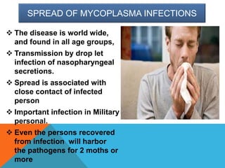 SPREAD OF MYCOPLASMA INFECTIONS
 The disease is world wide,
and found in all age groups,
 Transmission by drop let
infection of nasopharyngeal
secretions.
 Spread is associated with
close contact of infected
person
 Important infection in Military
personal.
 Even the persons recovered
from infection will harbor
the pathogens for 2 moths or
more
 