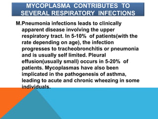 MYCOPLASMA CONTRIBUTES TO
SEVERAL RESPIRATORY INFECTIONS
M.Pneumonia infections leads to clinically
apparent disease involving the upper
respiratory tract. In 5-10% of patients(with the
rate depending on age), the infection
progresses to tracheobronchitis or pneumonia
and is usually self limited. Pleural
effusion(usually small) occurs in 5-20% of
patients. Mycoplasmas have also been
implicated in the pathogenesis of asthma,
leading to acute and chronic wheezing in some
individuals.
 
