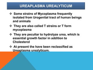 UREAPLASMA UREALYTICUM
 Some strains of Mycoplasma frequently
isolated from Urogenital tract of human beings
and animals
 They are also called T strains or T form
mycoplasma
 They are peculiar to hydrolyze urea, which is
essential growth factor in addition to
Cholesterol
 At present the have been reclassified as
Ureaplasma urealyticum.
 
