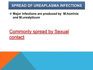 SPREAD OF UREAPLASMA INFECTIONS
 Major infections are produced by M.hominis
and M.urealyticum
Commonly spread by Sexual
contact
 