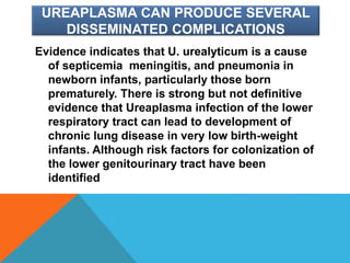 UREAPLASMA CAN PRODUCE SEVERAL
DISSEMINATED COMPLICATIONS
Evidence indicates that U. urealyticum is a cause
of septicemia meningitis, and pneumonia in
newborn infants, particularly those born
prematurely. There is strong but not definitive
evidence that Ureaplasma infection of the lower
respiratory tract can lead to development of
chronic lung disease in very low birth-weight
infants. Although risk factors for colonization of
the lower genitourinary tract have been
identified
 