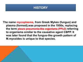 HISTORY
The name mycoplasma, from Greek Mykes (fungus) and
plasma (formed),was proposed in the 1950s, replacing
the term pleuro pneumonia-like organisms (PPLO) referring
to organisms similar to the causative agent CBPP. It
was later found that the fungus-like growth pattern of
M.mycoides is unique to that species.
 