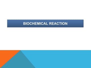 BIOCHEMICAL REACTION
 