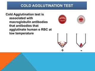 COLD AGGLUTINATION TEST
Cold Agglutination test is
associated with
macroglobulin antibodies
that antibodies that
agglutinate human o RBC at
low temperature
 