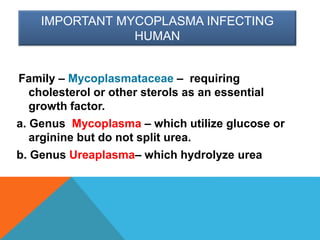 IMPORTANT MYCOPLASMA INFECTING
HUMAN
Family – Mycoplasmataceae – requiring
cholesterol or other sterols as an essential
growth factor.
a. Genus Mycoplasma – which utilize glucose or
arginine but do not split urea.
b. Genus Ureaplasma– which hydrolyze urea
 