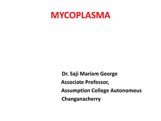 MYCOPLASMA
Dr. Saji Mariam George
Associate Professor,
Assumption College Autonomous
Changanacherry
 