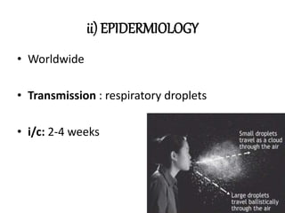 ii) EPIDERMIOLOGY
• Worldwide
• Transmission : respiratory droplets
• i/c: 2-4 weeks
 