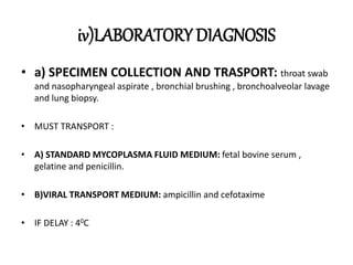 iv)LABORATORY DIAGNOSIS
• a) SPECIMEN COLLECTION AND TRASPORT: throat swab
and nasopharyngeal aspirate , bronchial brushing , bronchoalveolar lavage
and lung biopsy.
• MUST TRANSPORT :
• A) STANDARD MYCOPLASMA FLUID MEDIUM: fetal bovine serum ,
gelatine and penicillin.
• B)VIRAL TRANSPORT MEDIUM: ampicillin and cefotaxime
• IF DELAY : 40C
 