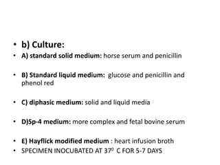 • b) Culture:
• A) standard solid medium: horse serum and penicillin
• B) Standard liquid medium: glucose and penicillin and
phenol red
• C) diphasic medium: solid and liquid media
• D)Sp-4 medium: more complex and fetal bovine serum
• E) Hayflick modified medium : heart infusion broth
• SPECIMEN INOCUBATED AT 370 C FOR 5-7 DAYS
 