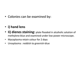 • Colonies can be examined by:
• i) hand lens
• Ii) dienes staining: plate flooded in alcoholic solution of
methylene blue and examined under low power microscope.
• Mycoplasma retain colour for 2 days
• Ureaplasma : reddish to greenish-blue
 