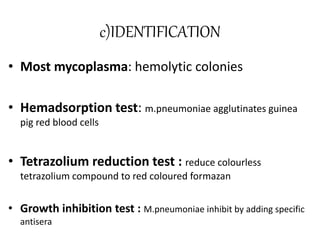 c)IDENTIFICATION
• Most mycoplasma: hemolytic colonies
• Hemadsorption test: m.pneumoniae agglutinates guinea
pig red blood cells
• Tetrazolium reduction test : reduce colourless
tetrazolium compound to red coloured formazan
• Growth inhibition test : M.pneumoniae inhibit by adding specific
antisera
 