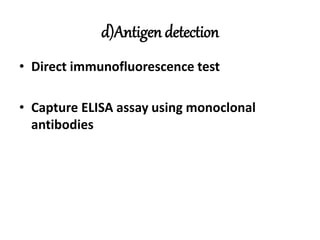 d)Antigen detection
• Direct immunofluorescence test
• Capture ELISA assay using monoclonal
antibodies
 