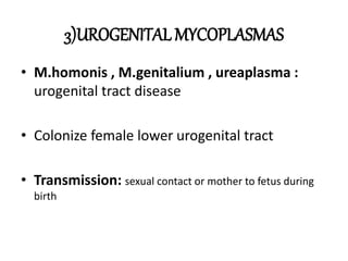 3)UROGENITAL MYCOPLASMAS
• M.homonis , M.genitalium , ureaplasma :
urogenital tract disease
• Colonize female lower urogenital tract
• Transmission: sexual contact or mother to fetus during
birth
 