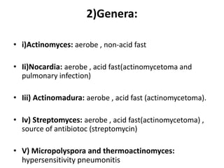 2)Genera:
• i)Actinomyces: aerobe , non-acid fast
• Ii)Nocardia: aerobe , acid fast(actinomycetoma and
pulmonary infection)
• Iii) Actinomadura: aerobe , acid fast (actinomycetoma).
• Iv) Streptomyces: aerobe , acid fast(actinomycetoma) ,
source of antibiotoc (streptomycin)
• V) Micropolyspora and thermoactinomyces:
hypersensitivity pneumonitis
 