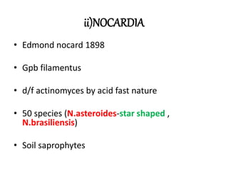 ii)NOCARDIA
• Edmond nocard 1898
• Gpb filamentus
• d/f actinomyces by acid fast nature
• 50 species (N.asteroides-star shaped ,
N.brasiliensis)
• Soil saprophytes
 