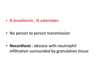 • N.brasiliensis , N.asteroides
• No person to person transmission
• Nocardiosis : abscess with neutrophil
infiltration surrounded by granulation tissue
 