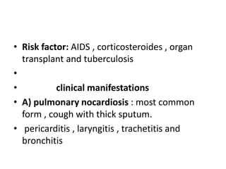 • Risk factor: AIDS , corticosteroides , organ
transplant and tuberculosis
•
• clinical manifestations
• A) pulmonary nocardiosis : most common
form , cough with thick sputum.
• pericarditis , laryngitis , trachetitis and
bronchitis
 