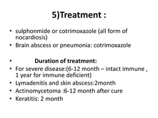 5)Treatment :
• sulphonmide or cotrimoxazole (all form of
nocardiosis)
• Brain abscess or pneumonia: cotrimoxazole
• Duration of treatment:
• For severe disease:(6-12 month – intact immune ,
1 year for immune deficient)
• Lymadenitis and skin abscess:2month
• Actinomycetoma :6-12 month after cure
• Keratitis: 2 month
 
