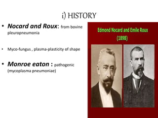 i) HISTORY
• Nocard and Roux: from bovine
pleuropneumonia
• Myco-fungus , plasma-plasticity of shape
• Monroe eaton : pathogenic
(mycoplasma pneumoniae)
 