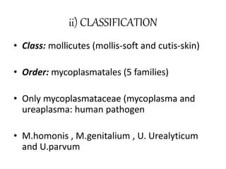 ii) CLASSIFICATION
• Class: mollicutes (mollis-soft and cutis-skin)
• Order: mycoplasmatales (5 families)
• Only mycoplasmataceae (mycoplasma and
ureaplasma: human pathogen
• M.homonis , M.genitalium , U. Urealyticum
and U.parvum
 