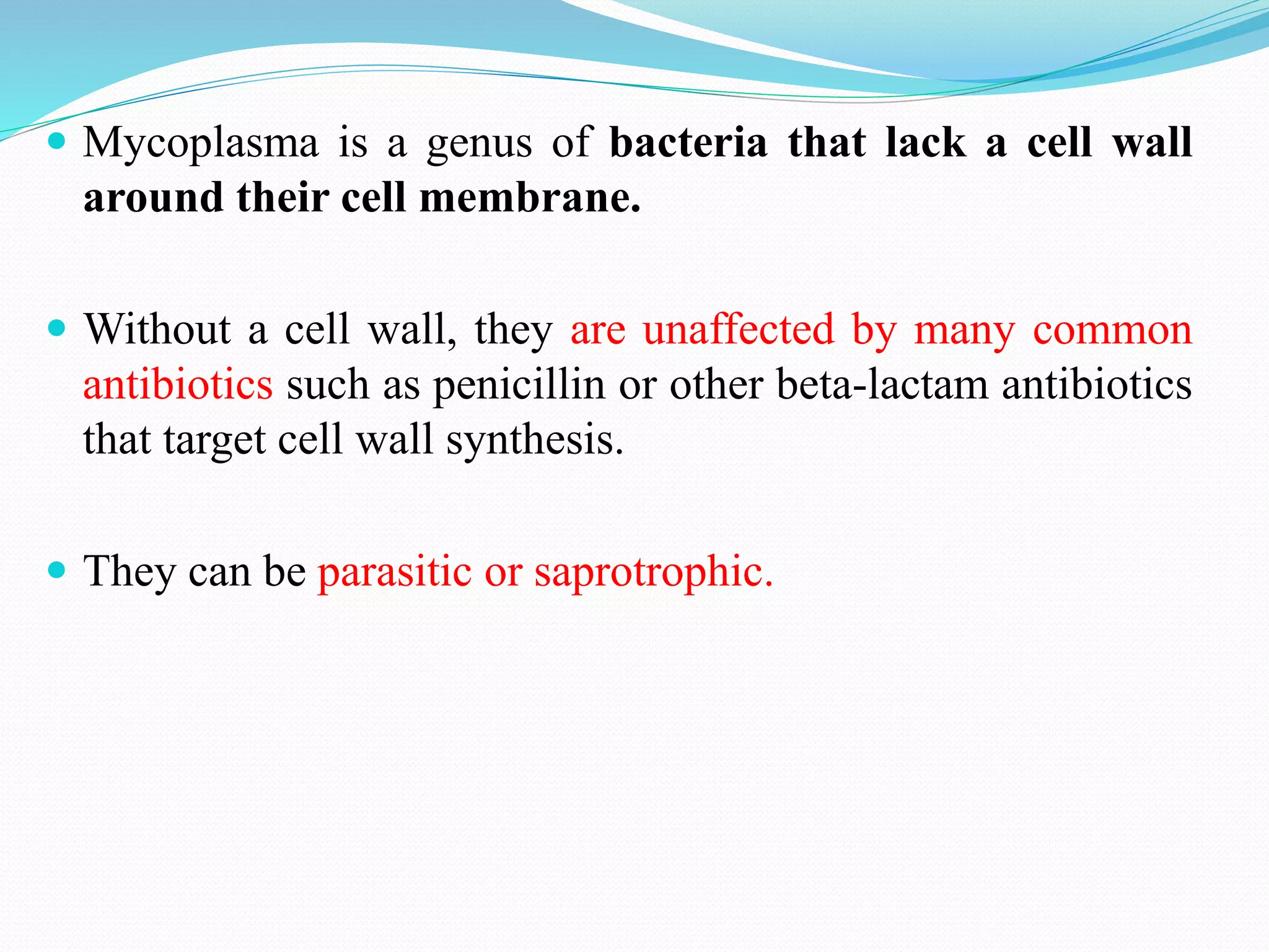  Mycoplasma is a genus of bacteria that lack a cell wall
around their cell membrane.
Without a cell wall, they are unaffected by many common
antibiotics such as penicillin or other beta-lactam antibiotics
that target cell wall synthesis.
They can be parasitic or saprotrophic.