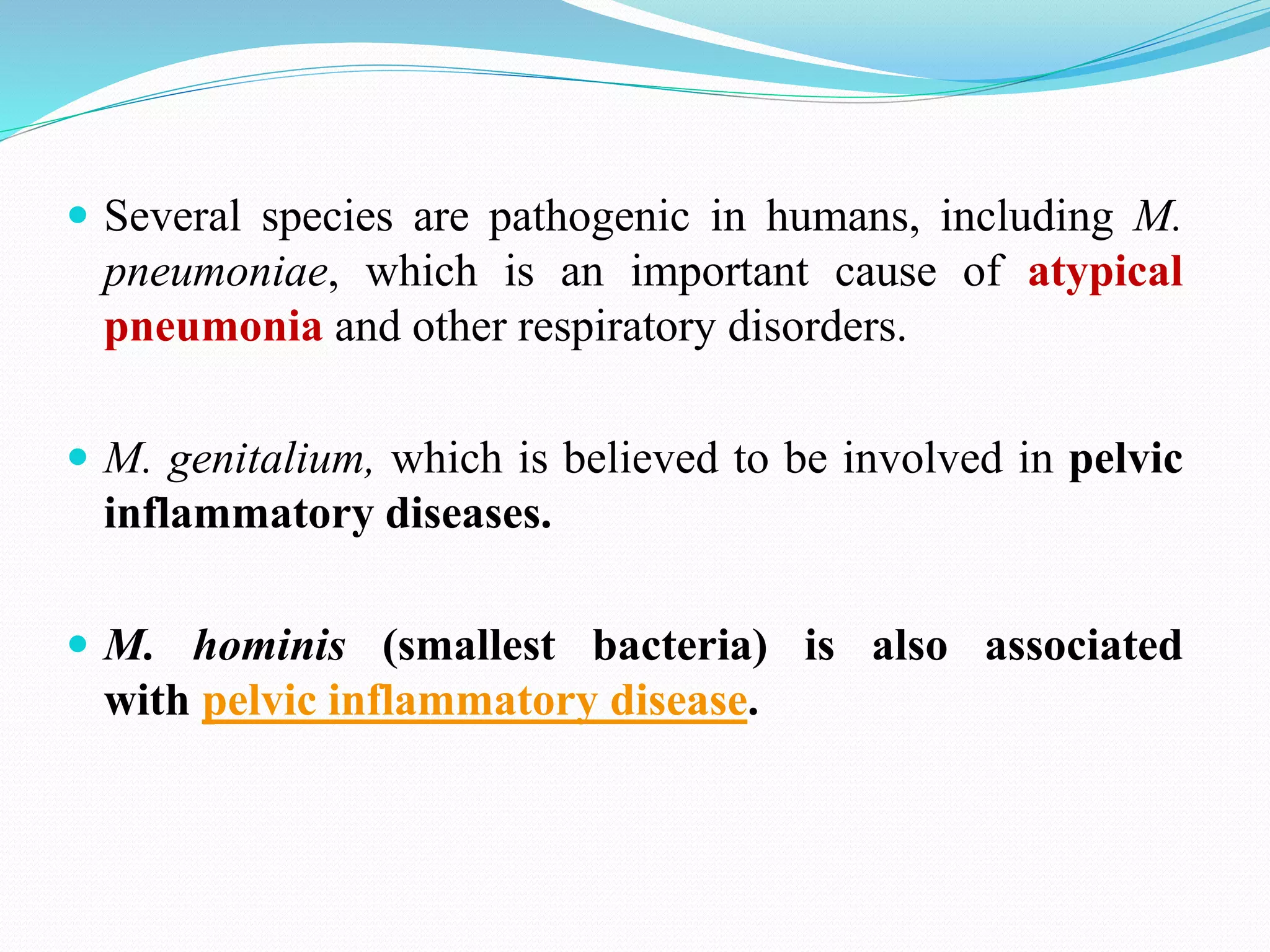 Several species are pathogenic in humans, including M.
pneumoniae, which is an important cause of atypical
pneumonia and other respiratory disorders.
M. genitalium, which is believed to be involved in pelvic
inflammatory diseases.
M. hominis (smallest bacteria) is also associated
with pelvic inflammatory disease.